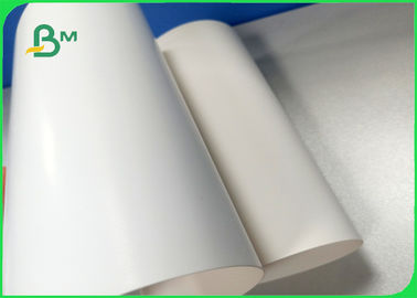 Ancho 700 × 1000 mm Buena suavidad 270 gm 300 gm 350 gm Tablero de marfil para paquetes