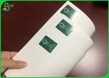 300GSM 610*860MM Color blanco C1S Tablero de marfil para hacer cajas plegables