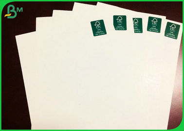 300GSM 610*860MM Color blanco C1S Tablero de marfil para hacer cajas plegables