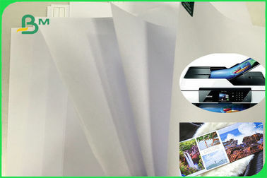 Papel de impresión offset sin recubrimiento de madera de granos largos con alta blancura