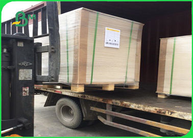 230 - 350gm cartón plegable / papel recubierto C1S 645 * 920mm