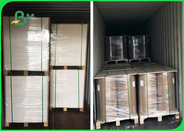 230 - 350gm cartón plegable / papel recubierto C1S 645 * 920mm