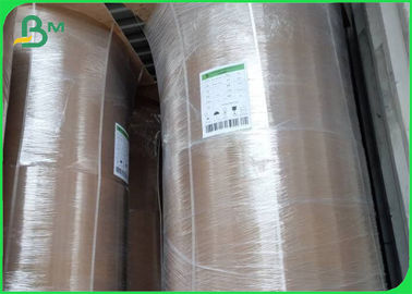 Papel Kraft de bambú ecológico 50GSM - 250GSM