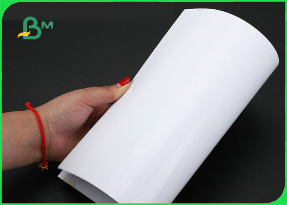 Papel brillante de la foto de 240GSM 260GSM RC para casarse prenda impermeable de A3 A4