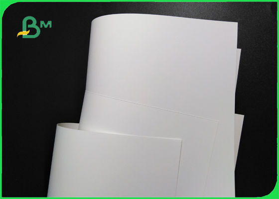 Papel sintético impermeable de revestimiento doble libre 230um del árbol blanco