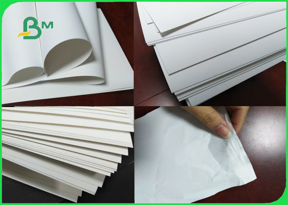Papel sintético impermeable de revestimiento doble libre 230um del árbol blanco
