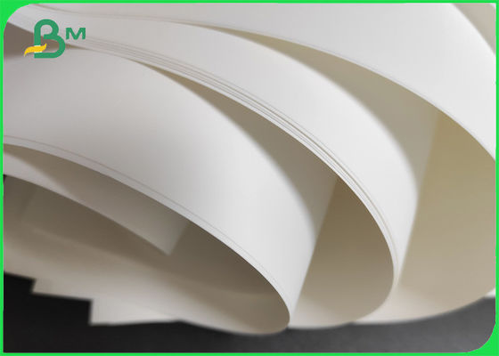 Descolórese - el papel sintético blanco resistente 180um de Matte Printable PP