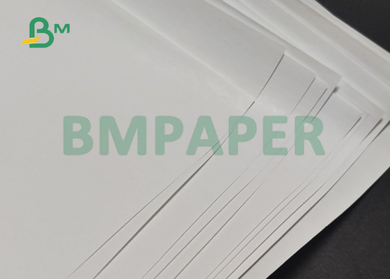 rollo del papel de imprenta termal 55gsm para el recibo 600m m del cajero automático de la posición 650m m BPA libres