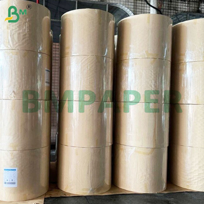 190+10gm PE Revestido de tazas de papel de stock Rollos para tazas de papel tazones