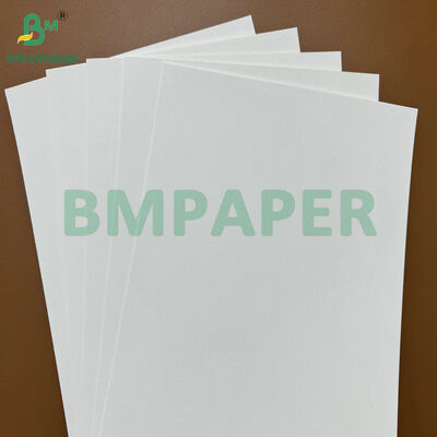 200 gramos de papel de base de coaster de absorción de materia prima ecológica para la fabricación de esterillas de cerveza y tazas