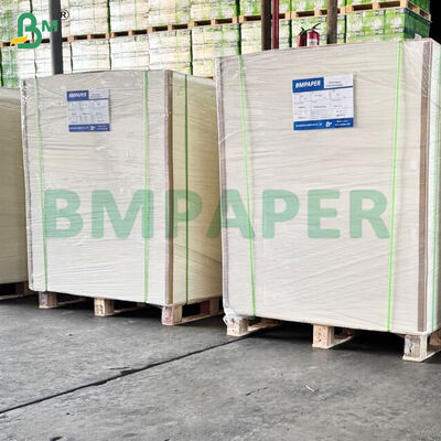 300 gm Hojas de papel de alta rigidez de grado alimenticio para comidas
