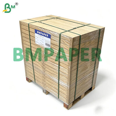 Papel de Hornear con Recubrimiento de Silicona 42gr, Papel de Horno 500mm X 600mm