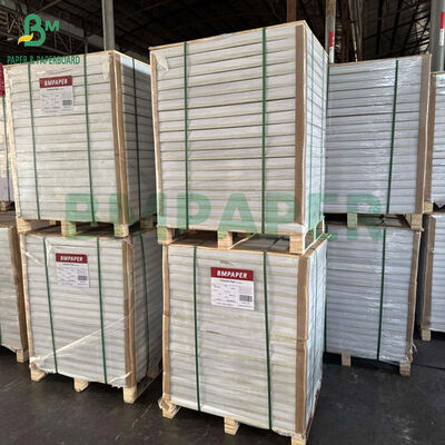 1.6mm 1.7mm 1.8mm Pulpa de madera pura Papel absorbente blanco para tazas