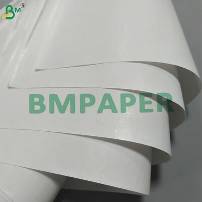 Papel de Cara Térmica Directa de 70 GSM Grado Ecológico para Guías de Envío, Logística